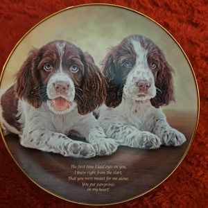 Pawprints on my heart